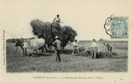 91*Essonne* - Seine Et Oise - Vigneux - La Rentrée Des Récoltes Dans La Plaine - Vigneux Sur Seine