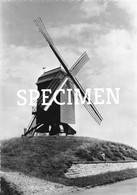 De Molen @ Herzele - Herzele