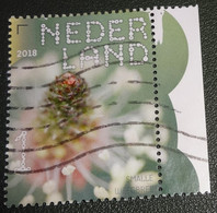 Nederland - NVPH - Xxxx - 2018 - Gebruikt - Beleef De Natuur - Veldbloemen - Smalle Weegbree - Met Tab - Oblitérés