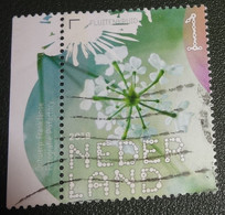 Nederland - NVPH - Xxxx - 2018 - Gebruikt - Beleef De Natuur - Veldbloemen - Fluitenkruid - Met Tab - Used Stamps