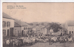 MESSANCY  LE TROUPEAU    2 SCANS - Messancy