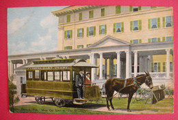 Palm Beach Mule Car Line At The Breakers American Mule Mula Bon Plan Editeur Hugh Leighton Dos Scanné - Palm Beach