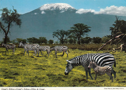 Kenya Uganda Tanzania 1975 Grant Zebra , Kilimanjaro - Ouganda