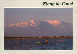 CPSM Etang De Canet-Timbre    L950 - Canet En Roussillon