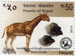 Prehistoric GIRAFFE Fossil STAMP 2013 NEPAL MnH - Giraffes