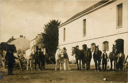 Le Bas Vineil Par St Léger De Montbrillais * La Minoterie THIBAULT * Minotier Moulin * Les Chevaux - Other & Unclassified