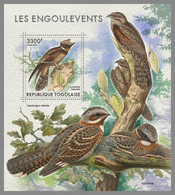 TOGO 2021 MNH Nightjars Nachtschwalbern Engoulevents S/S - IMPERFORATED - DHQ2139 - Zwaluwen