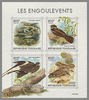 TOGO 2021 MNH Nightjars Nachtschwalbern Engoulevents M/S - IMPERFORATED - DHQ2139 - Hirondelles