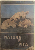 Natura E Vita Di Onorato Verona,  1977,  Edizioni Cremonese - Medicina, Biología, Química