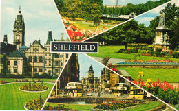 - SHEFFIELD (Yorkshire). - Millhouses Park - Town Hall - Endcliffe Park - Fargate. - Scan Verso - - Sheffield