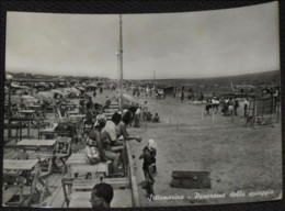 VENEZIA - Chioggia - Sottomarina - Panorama Della Spiaggia - Animata - 1954 - Chioggia