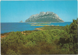 AA1673 Olbia (Sassari) - Isola Di Tavolara - Panorama / Non Viaggiata - Olbia