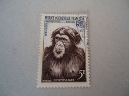 AFRIQUE  OCCIDENTALE USED   SAMPS ANIMALS CHIMPAZE - Asini