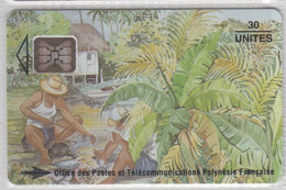 French Polynesia Phonecard - Cooking Fish - Superb Used - Polynésie Française