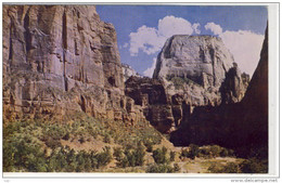 UTAH - ZION National Park, Great White Throne - Zion