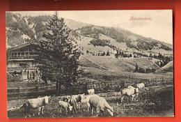 FLD-17  Adelboden Kuherde Mit Senn. Chalet, Nicht Gelaufen - Adelboden