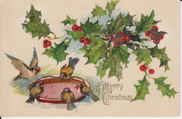 A MERRY CHRISTMAS - Birds