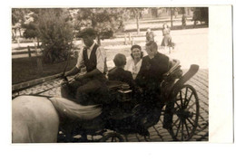 Customs, Wedding, Carriage  Subotica - Serbia - Douane