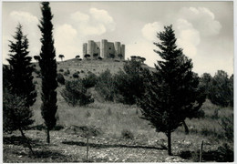 ANDRIA     CASTEL   DEL  MONTE        (NUOVA) - Andria