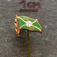 Badge Pin ZN009437 - UFO Sport ? Rowing Cayak Canoe Swimming CM 1924-1974 - Aviron