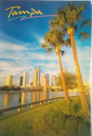 The Hillsborough River With The City Skyline In The Background, Tampa - Tampa