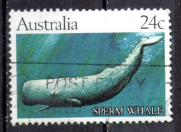 Australia 1982 - Capodoglio Sperm Whale - Used Stamps