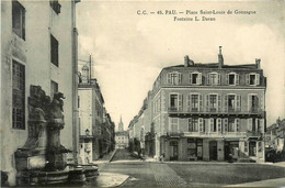 Pau * La Place St Louis De Gonzague * La Fontaine L. Daran - Pau