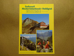 Dallenwil - Niederrickenbach - Haldigrat /   Panorama - Berghaus Haldigrat / Niederrickenbach  (2382) - Sonstige & Ohne Zuordnung