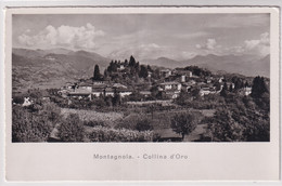 Montagnola - Collina D'Oro - Collina D'Oro