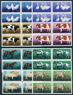 POLAND 1975 Livestock Breeding Congress Blocks Of 4 MNH / **. Michel 2378-85 - Unused Stamps