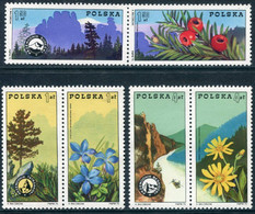 POLAND 1975 Mountain Guides Association MNH / **. Michel 2370-75 - Unused Stamps