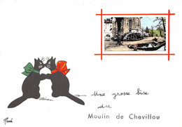 87-SAINT-GENCE- MOULIN DE CHEVILLOU- UNE GROSSE BISE DU MOULIN DE CHEVILLOU - Other & Unclassified