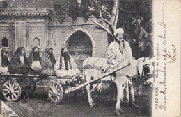 Egypte - Port-Saïd - Visite Au Cimetière - Postmarked 1905 - Port-Saïd