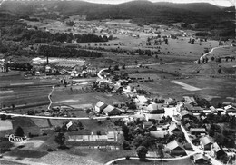 88-AUMONTZEY- VUE PANORAMIQUE AERIENNE - Altri & Non Classificati