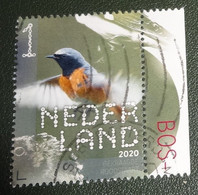 Nederland - NVPH - Xxxx - 2020 - Gebruikt - Used - Beleef De Natuur - Gekraagde Roodstaart - Met Tab - Used Stamps