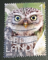 Nederland - NVPH - Xxxx - 2020 - Gebruikt - Used - Beleef De Natuur - Steenuil - Used Stamps