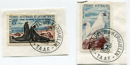 T. A. A. F. N°13A CHIONIS OBL. ARCHIPEL-DES-KERGUELEN 31-3-1969 ET N°13C COMBAT D'ELEPHANTS DE MER OBL. ARCHIPEL-DES-.. - Used Stamps