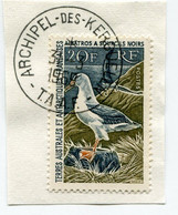 T. A. A. F. N°24 ALBATROS A SOURCILS NOIRS OBL. ARCHIPEL-DES-KERGUELEN 31-3-1969 - Used Stamps