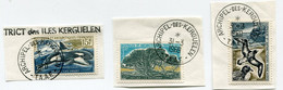 T. A. A. F. N°28 / 30 FAUNE ET FLORE OBL. ARCHIPEL-DES-KERGUELEN 31-3-1969 ET 1-1-1970 - Usados