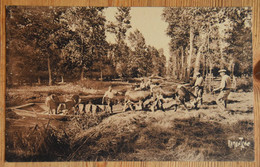 Marais Poitevin - Débarquement De Bétails Dans Les Près Marais - Animée : Belle Animation - Boeufs - Vaches  - (n°21417) - Poitou-Charentes