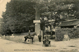 Montlignon ( Forêt De Montmorency ) * Le Bouquet De La Vallée - Montlignon