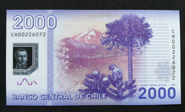 CHILE - P.162a – 2.000 Pesos 2009 UNC Polymer Serie CH00226072 - Chili