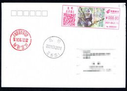 China Postage Machine Meter: Animal Kingdom, Beautiful Yunnan-Yunnan Golden Monkey - Storia Postale