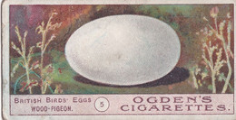 Birds Eggs 1908  - Ogdens  Cigarette Card - Original - Antique - 5 /wood Pigeon - Ogden's