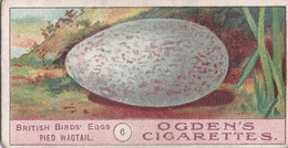 Birds Eggs 1908  - Ogdens  Cigarette Card - Original - Antique - 6 Pied Wagtail - Ogden's