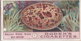 Birds Eggs 1908  - Ogdens  Cigarette Card - Original - Antique - 1 Red Grouse - Ogden's