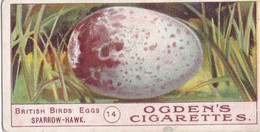 Birds Eggs 1908  - Ogdens  Cigarette Card - Original - Antique - 14 Sparrow Hawk - Ogden's