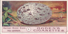 Birds Eggs 1908  - Ogdens  Cigarette Card - Original - Antique - 9 Tree Sparrow - Ogden's