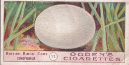 Birds Eggs 1908  - Ogdens  Cigarette Card - Original - Antique - 11 Kingfisher - Ogden's