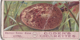Birds Eggs 1908  - Ogdens  Cigarette Card - Original - Antique - 20 Kestrel - Ogden's
